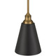Dahlia One Light Pendant (63098-ABB/BLK)