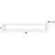 Viola LED Wall Sconce (31637-015)