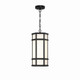 Eurofase - 42691-013 - LED Outdoor Pendant - Monte - Satin Black
