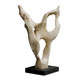 Hollow Form Sculpture (17145)