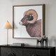 Big Horn Framed Print (32546)