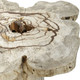 Anzalone Coffee Table (50365)