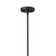 manufacturer_finish:Black
