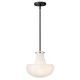 manufacturer_finish:Black