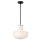 manufacturer_finish:Black