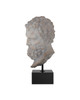 Hercules Head on Metal Stand (1200-1084)