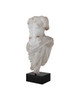 Currey and Company - 1200-1085 - Torso on Metal Stand - Delos - Antique Off-White / Black