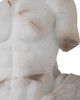Delos Torso on Metal Stand (1200-1085)