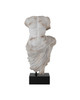 Delos Torso on Metal Stand (1200-1085)