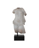 Cyprus Torso on Metal Stand (1200-1086)