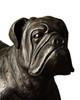 Bulwark the Bulldog Sculpture (1200-1110)