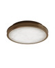 Aydan LED Flush Mount (9999-0089)