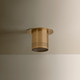 Berg One Light Flush Mount (C1508-PBR)