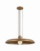 Troy Lighting - F3233-PBR - One Light Pendant - Rainhill - Patina Brass