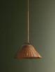 Richard One Light Pendant (F4318-PBR)