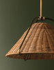 Richard One Light Pendant (F4318-PBR)