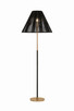 Troy Lighting - PFL3464-PGL - One Light Floor Lamp - Sonoma - Patina Gold Leaf