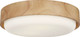 manufacturer_glass:Opal Acid Etched Glass|light_output:Unspecified|color_temperature:Unspecified|cri:Unspecified