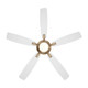 Dyno 60" Ceiling Fan (F1001-BBR/ALW)