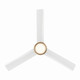 Roto 52" Ceiling Fan (F535L-BBR/ALW)