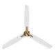Rudolph 60" Ceiling Fan (F728-BBR/ALW)