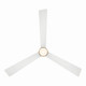 Elavan 52" Ceiling Fan (F744L-LBR/ALW)