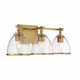 Wynnfrost Three Light Vanity (15023-791)