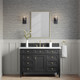 Binsly One Light Bath Sconce (2641-749)