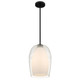 Evelynn One Light Mini Pendant (EVN1510MBK)