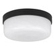 Langford LED Flush Mount (LANG1615MBK)