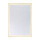 Savoy House - 2-1238-42X60 - LED Mirror - Paulding - Gold