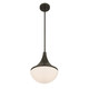 Ogdon One Light Pendant (7-2777-1-15)