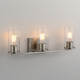Livingston Three Light Bath Vanity (10463CDSN)