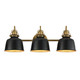 Maxim - 21423BKNAB - Three Light Wall Sconce - Hollis - Natural Aged Brass