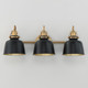 Hollis Three Light Wall Sconce (21423BKNAB)