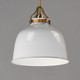 Hollis One Light Pendant (21424GWNAB)