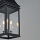 Bramwell VX Three Light Outdoor Pendant (40987TCBKP)
