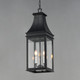 Bramwell VX Three Light Outdoor Pendant (40987TCBKP)