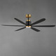 Petals 60" Ceiling Fan (88326BKGLD)