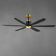 Petals 60" Ceiling Fan (88326BKGLD)
