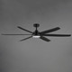 Albatross 72" Ceiling Fan (88367WTBK)