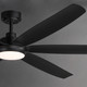 Albatross 72" Ceiling Fan (88367WTBK)