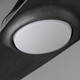 Surf 56" Ceiling Fan (88742WTBKGWD)