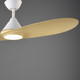 Surf 56" Ceiling Fan (88742WTMWWO)