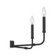 Abner Five Light Chandelier (ABR5024MBK)