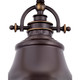 manufacturer_finish:Palladian Bronze