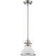 manufacturer_finish:Brushed Nickel