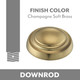 manufacturer_finish:Champagne Soft Brass