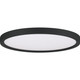 manufacturer_finish:Earth Black|light_output:2900.00lm