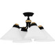 manufacturer_finish:Matte Black|manufacturer_glass:Opal Etched Glass